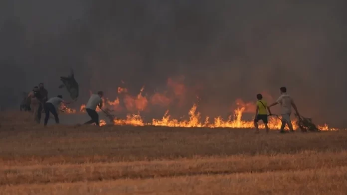 Wildfire Near Turkey's Izmir Airport Halts Flights